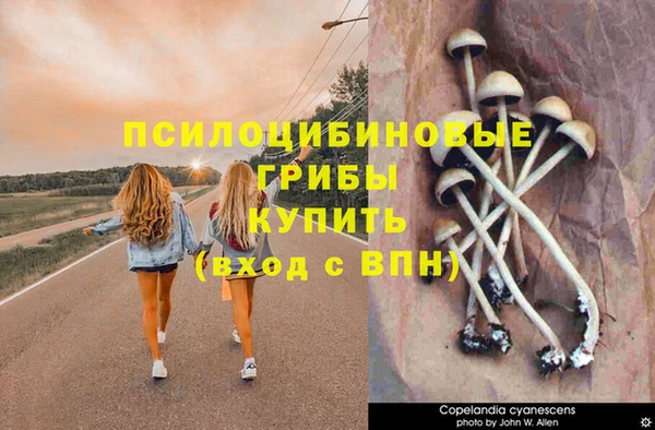 экстази Ельня