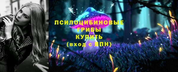 экстази Елабуга