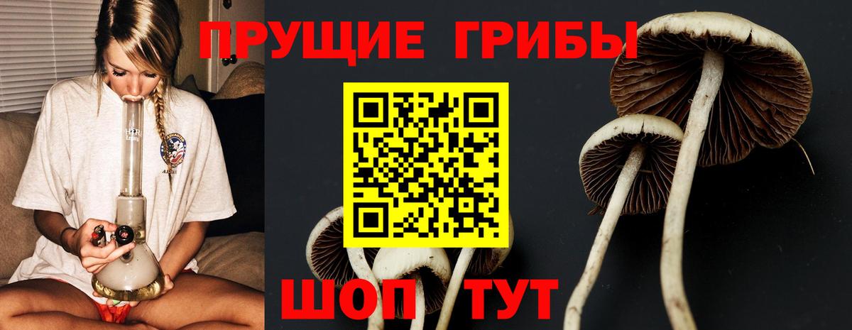 Галлюциногенные грибы Magic Shrooms  Галлюциногенные грибы мухоморы  Вход с VPN  Абакан 